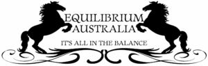 Equilibrium logo