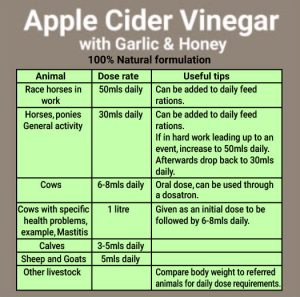 Apple Cider Vinegar + Garlic back
