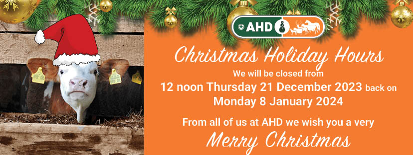 Christmas Holiday Hours