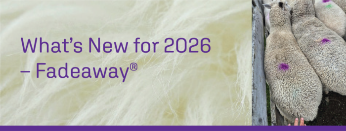 Fadeaway Headline image