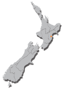 NZ Map