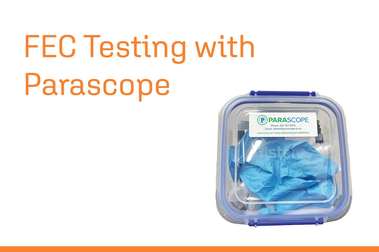 Parascope news slide
