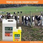 pre calving hygiene
