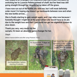 Probiotic Tonic for horses review