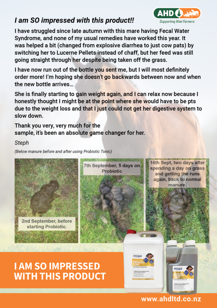 Probiotic Tonic for horses review