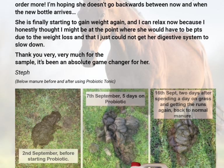 Probiotic Tonic for horses review
